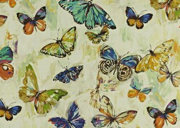 Butterfly Cloud Rainforest