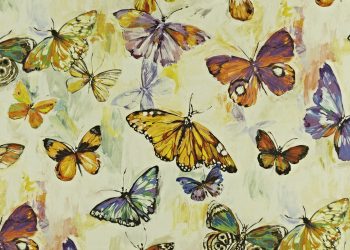 Butterfly Cloud Passionfruit