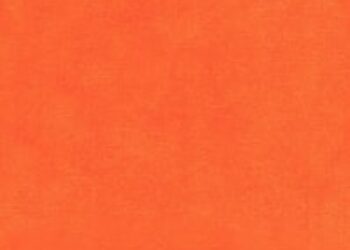 ELEGANCE R4-X-orangeade