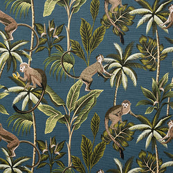 F -  MONKEY BLAUW