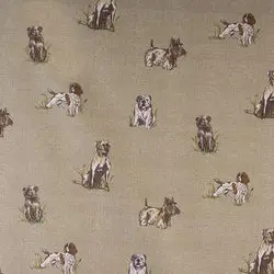 F - HONDJES