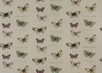 F - VLINDER